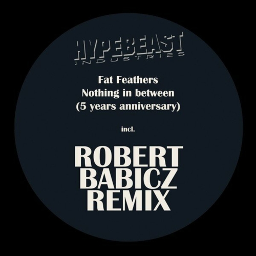 Fat Feathers - Nothing in Between (Robert Babicz Remix - 5 Years Anniversary) [10273882]